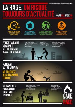 2017_rage_infographie