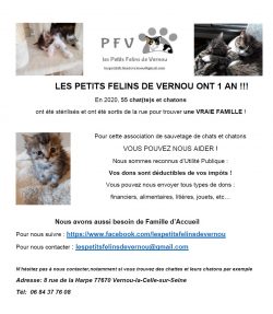 Affiche Petits Félins de Vernou
