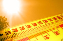 Canicule