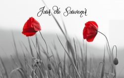 Ceremonie-jour-souvenir-11-11