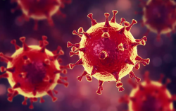 Image coronavirus