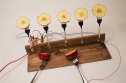 Makey makey