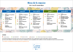 Menus du 04 au 11-11-2024