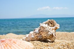 Plage
