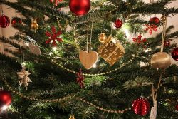 Sapin de Noël