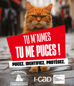 Semaine de l'identification