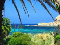Corse