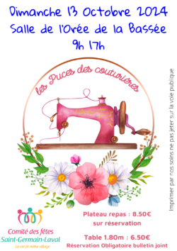 puces des couturieres 13-10 png